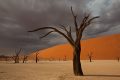 Namibijská poušť