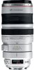 Canon EF 100-400 mm f/4.5-5.6 L IS USM
