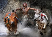 Wei Seng Chen, Malaysia 	Pacu Jawi Bull Race, Indonesia