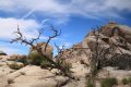 Samotář II - Joshua Tree National Park