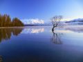 lake Wanaka