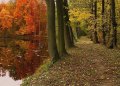 Podzim a jeho barvy