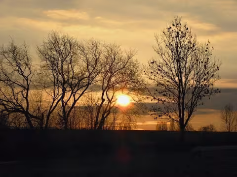 ráno