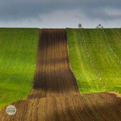 Fotoexpedice Moravské Toskánsko, Šardice, Kyjov, fotokurz, fotoworkshop