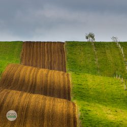 Fotoexpedice Moravské Toskánsko, Šardice, Kyjov, fotokurz, fotoworkshop